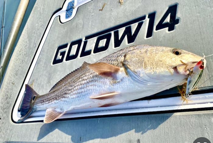 Redfish on Flats boat deck